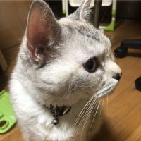 mitchiさん