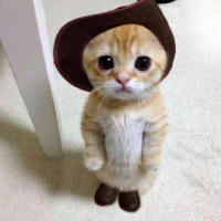 ゆんまま 会員画像