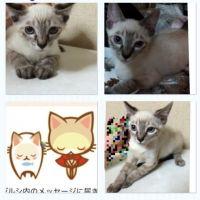 タクミク 会員画像