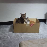 会員画像