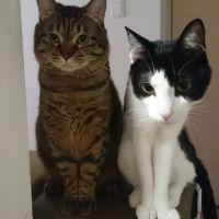 ミルクとミント 会員画像