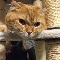 shota0106 会員画像