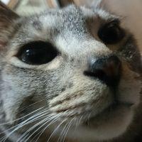 いちうま 会員画像