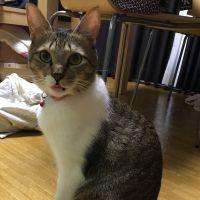 こなつブラザー 会員画像