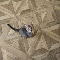 かぎしっぽの福さん