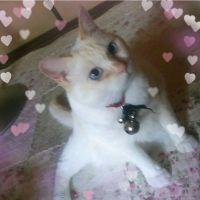 yuri7737 会員画像