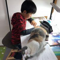 aobaaaan 会員画像