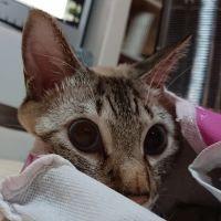 会員画像