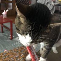 みーー(^^) 会員画像