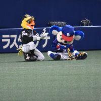 会員画像