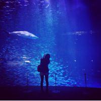 みいたM 会員画像