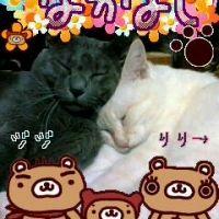 ジャム 会員画像