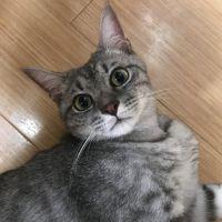会員画像