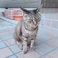 会員画像