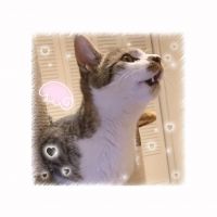 会員画像