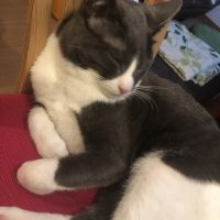 hinaちゃん 会員画像