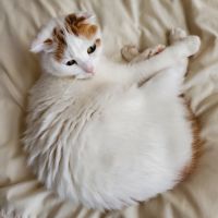 なぎっこ 会員画像