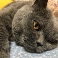 muko878 会員画像