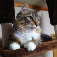 すしたろうさん