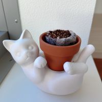 れおごま 会員画像