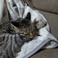 みろぴ 会員画像