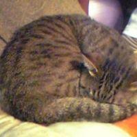 クリスタル 会員画像