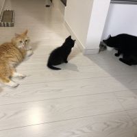 あや223 会員画像