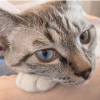 マウンテンブック 会員画像