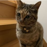 ひな子 会員画像