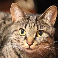 marimokun 会員画像