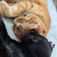 杏果林ママ 会員画像