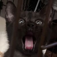 クロム0214 会員画像