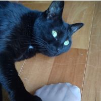 宮田明子 会員画像