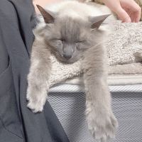 さりさん 会員画像