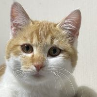 ちよちよちよさん