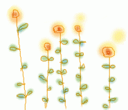 おきちゃん 会員画像