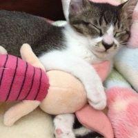 会員画像