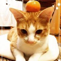 会員画像