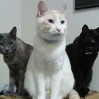 kaori313 会員画像