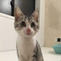 会員画像