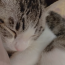 ユーザ画像