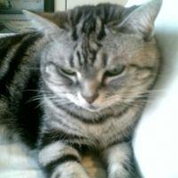 みーたろ 会員画像