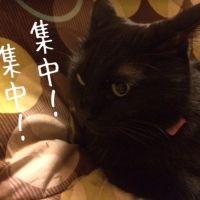 バタースコッチ 会員画像