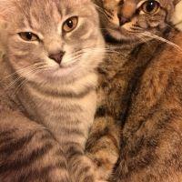 うーちん 会員画像