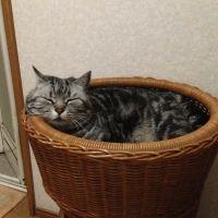 うずら606 会員画像