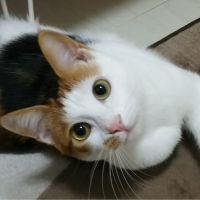 会員画像