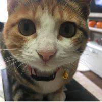 yumiー 会員画像