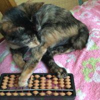 会員画像