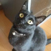 チユダ 会員画像