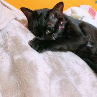 会員画像
